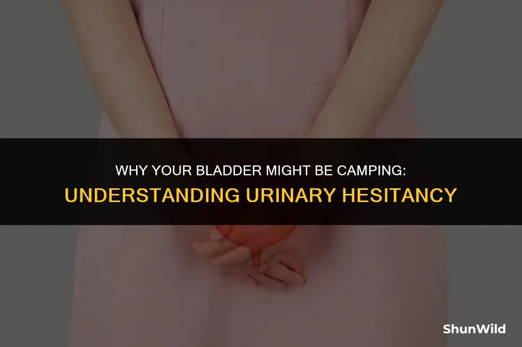 why is my bladder camping