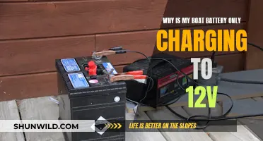 Boat Battery Charging Issues: 12V Conundrum