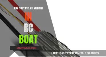 Troubleshooting an RC Boat's ESC: What You Need to Know
