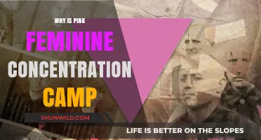 Why Pink Became a Symbol of Femininity in Concentration Camps