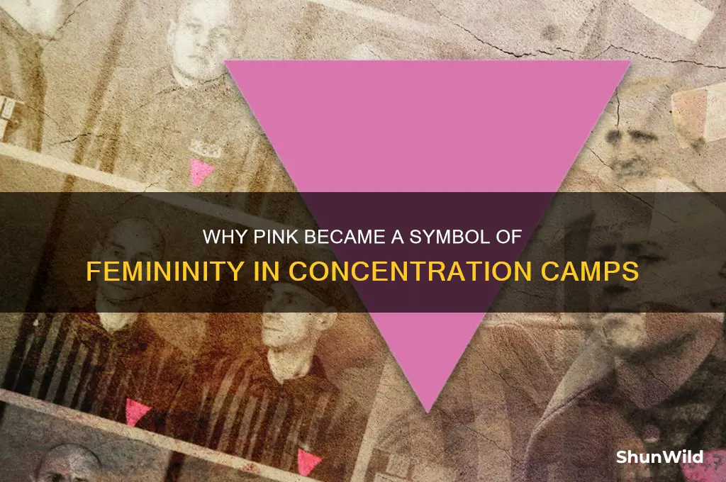 why is pink feminine concentration camp