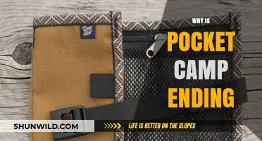 Farewell to Pocket Camp: Understanding the End of a Mobile Era