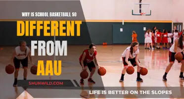 School Basketball vs. AAU: Two Different Worlds