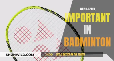 Speed in Badminton: The Key to Victory