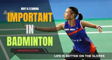 Stamina in Badminton: The Key to Winning Rallies
