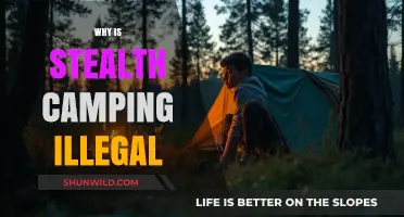 Understanding the Legalities: Why Stealth Camping is Prohibited