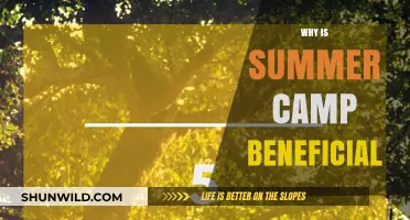 Unlocking Potential: The Transformative Power of Summer Camp Experiences