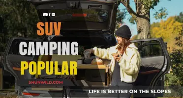 Exploring the Great Outdoors: The Rise of SUV Camping