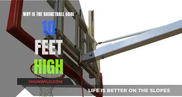 The Universal Height of Basketball Hoops Explained