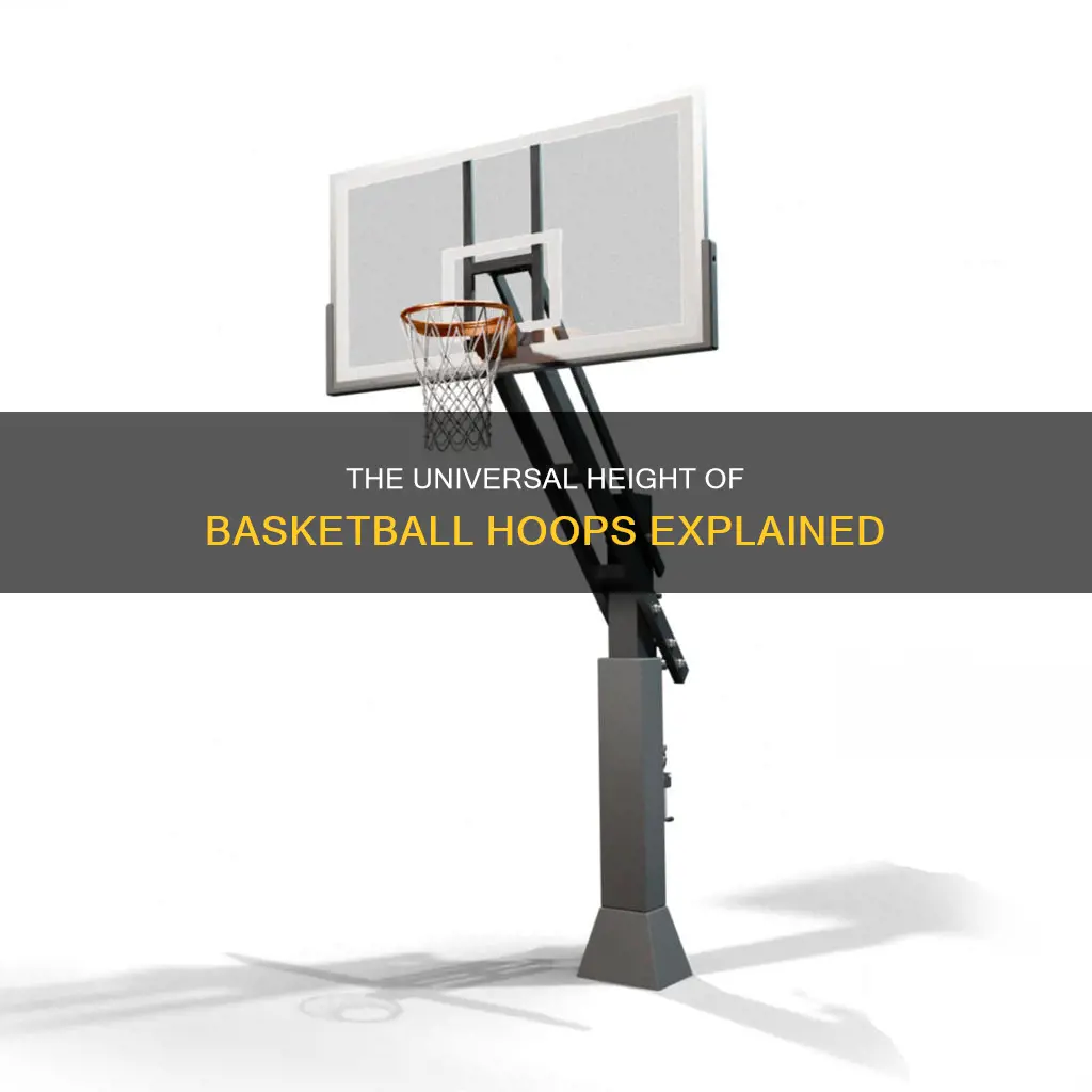 why is the basketball goal 10 feet high