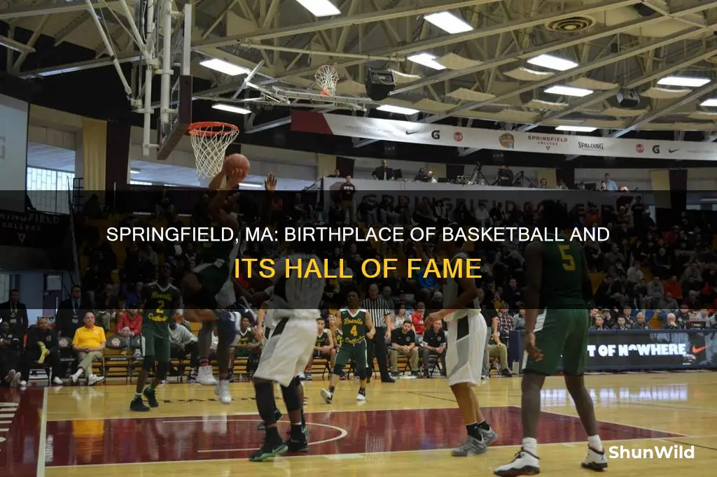 why is the basketball hall of fame in springfield ma