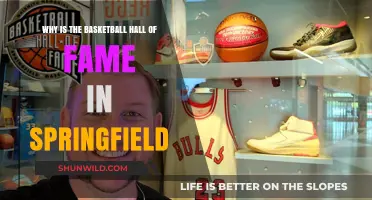 Springfield's Basketball Legacy: Hall of Fame Origins