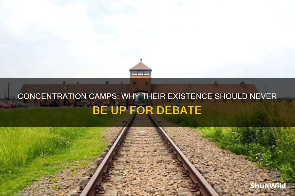 why is the concentration camp even a debate