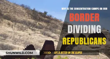 Border Camps Divide Republicans: A Moral and Political Crisis