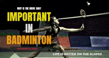 Mastering the Drive Shot: Key to Badminton Success