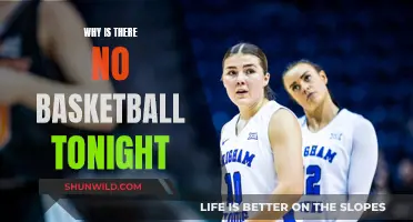 Basketball Hiatus: A Nightly Break From the Hardcourt Action