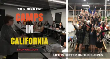 California's Missing Boot Camps: Unraveling the Absence and Its Impact