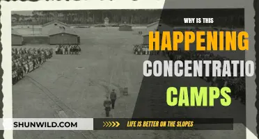 Understanding the Rise of Concentration Camps: Causes and Consequences