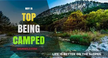 Understanding the Camping Phenomenon: Why Top Spots Are Occupied