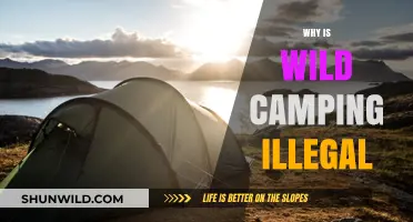 Exploring the Reasons Behind Wild Camping Restrictions