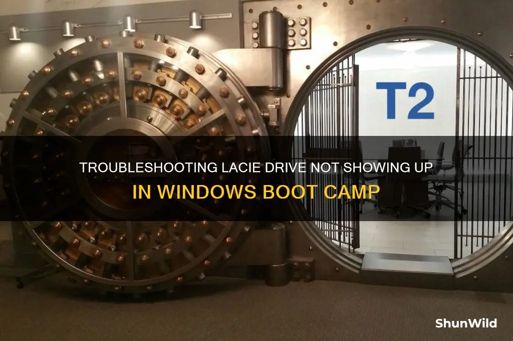 why isnt lacie showing uo on windows boot camp