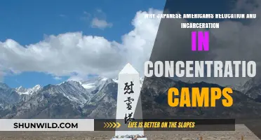 Unjust Incarceration: The Untold Story of Japanese Americans' Concentration Camps