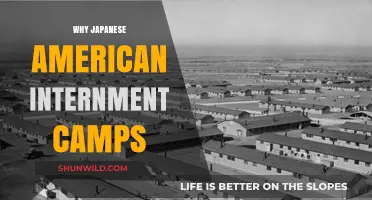 Unveiling the Unjust: Japanese American Internment Camps
