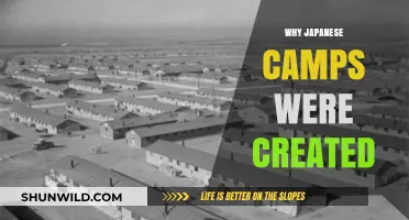 Unveiling the Historical Context: The Creation of Japanese Camps