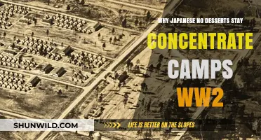 Japan's WWII Concentration Camps: The Absence of Desserts Explained