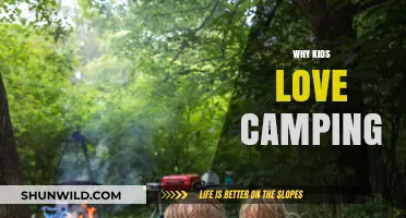 Why Kids Love Camping: Unlocking the Great Outdoors' Magic