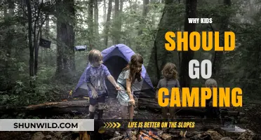 Unplugging and Reconnecting: The Joys of Camping for Kids