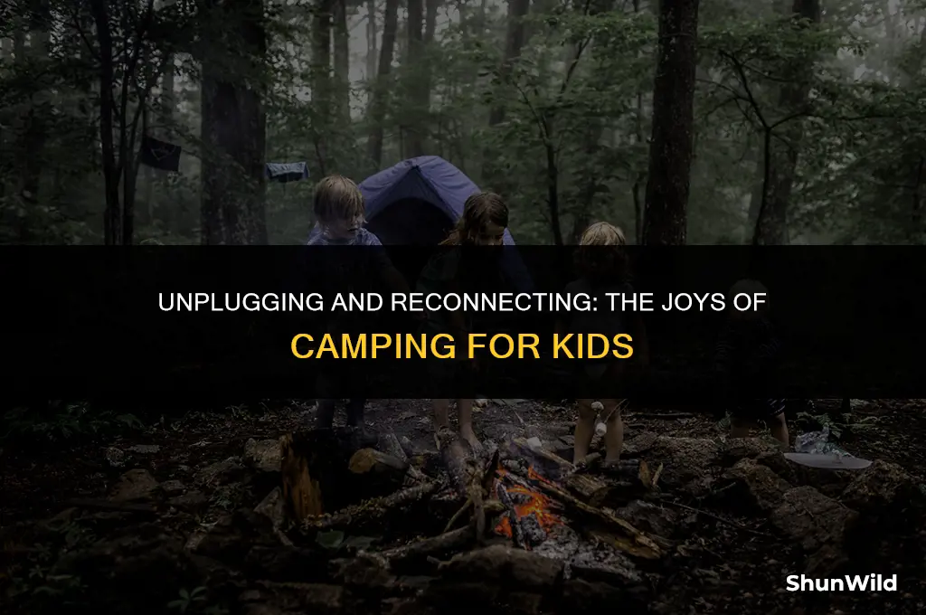 why kids should go camping