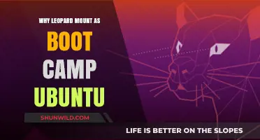Why Leopard Mount is Ideal for Boot Camp Ubuntu Setup