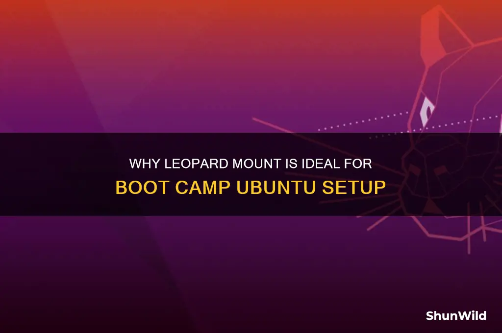 why leopard mount as boot camp ubuntu