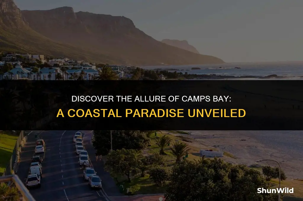 why live in camps bay