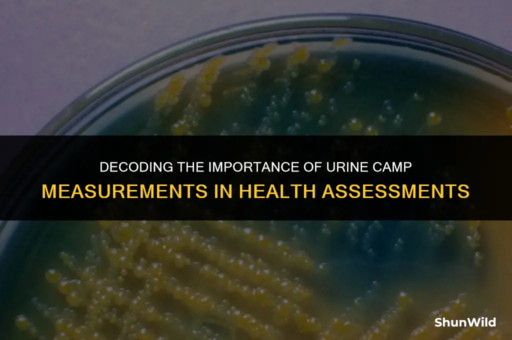 why measure urine camp