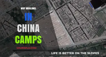 Unveiling the Plight: Muslims in China's Camps