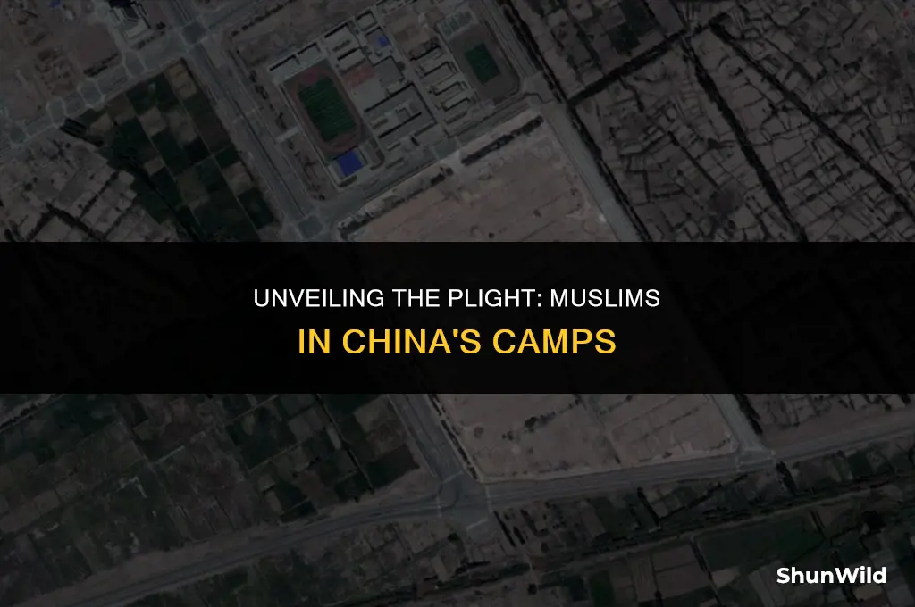 why muslims in china camps