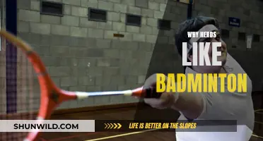 Badminton: Why Nerds Love This Sport