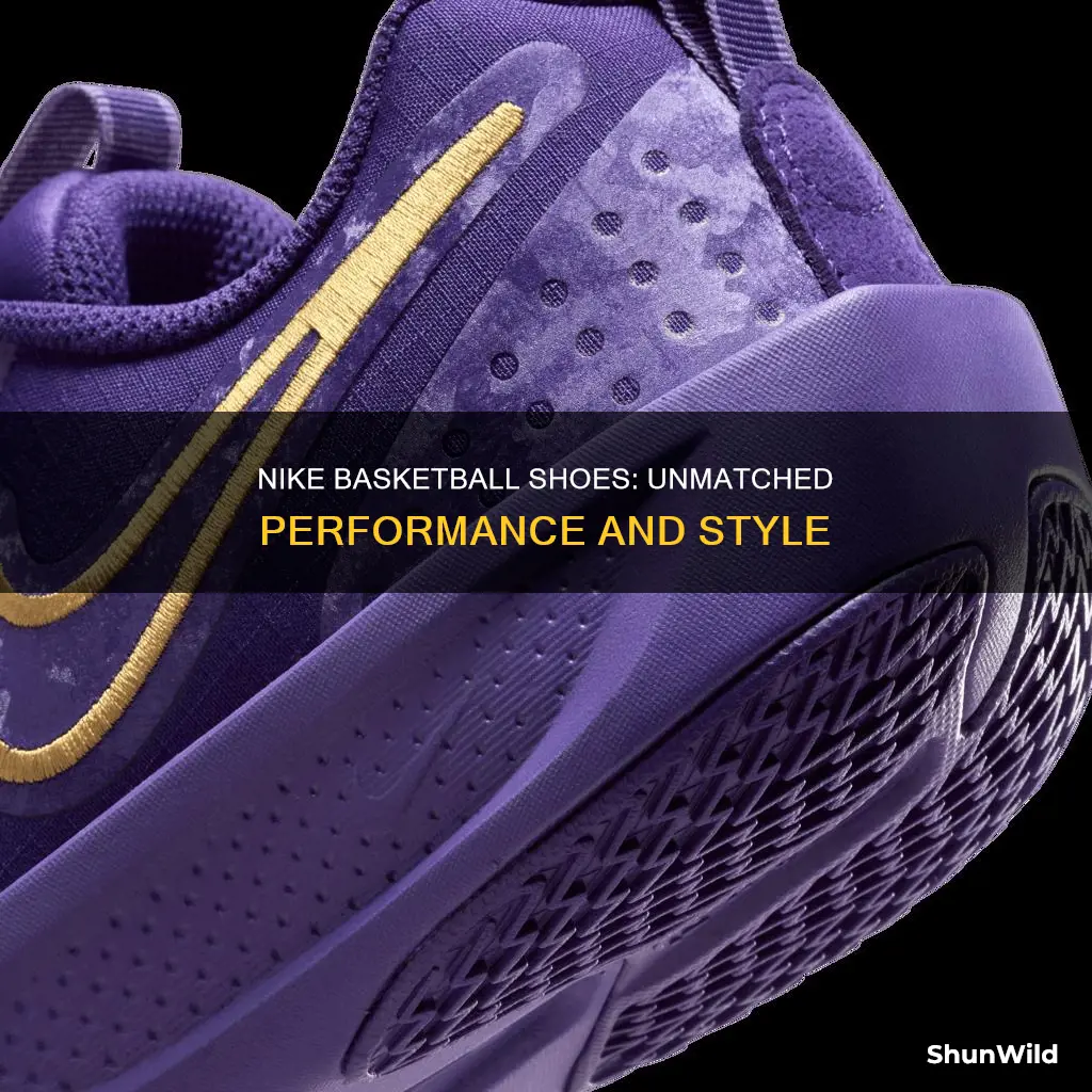 why nike basketball shoes are the best