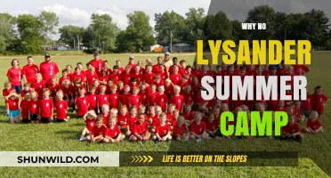 Unraveling the Mystery: Why Lysander Summer Camp is Missing