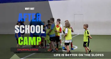 Unlocking Potential: The Surprising Benefits of After-School Camps