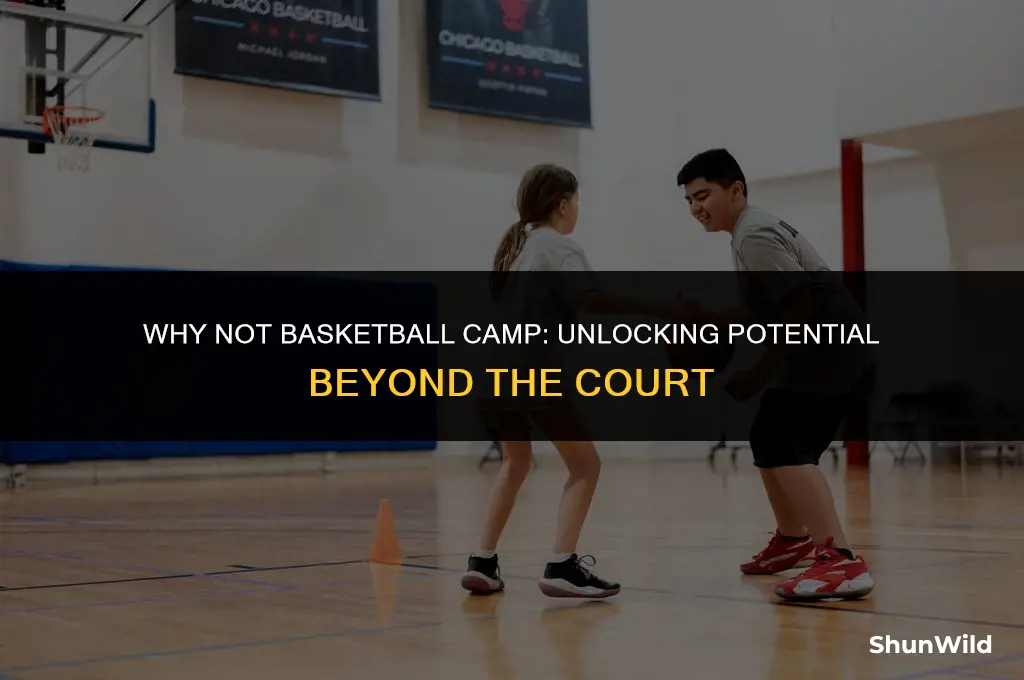 why not basketball camp