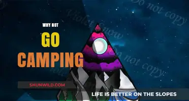 Embrace the Outdoors: Why Not Go Camping?