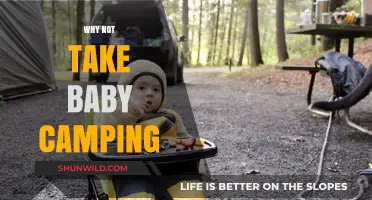 Embracing Nature's Lullaby: Why Not Take Baby Camping?