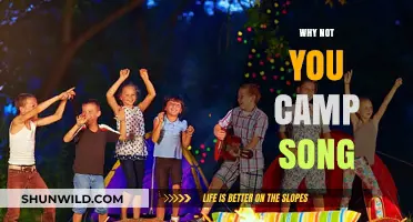 Why Not You Camp Song: A Melodic Journey Through Nature's Embrace