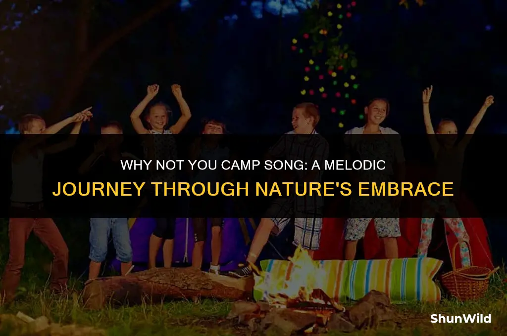 why not you camp song