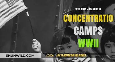 Unjust Incarceration: Why Japanese Americans Faced WWII Concentration Camps