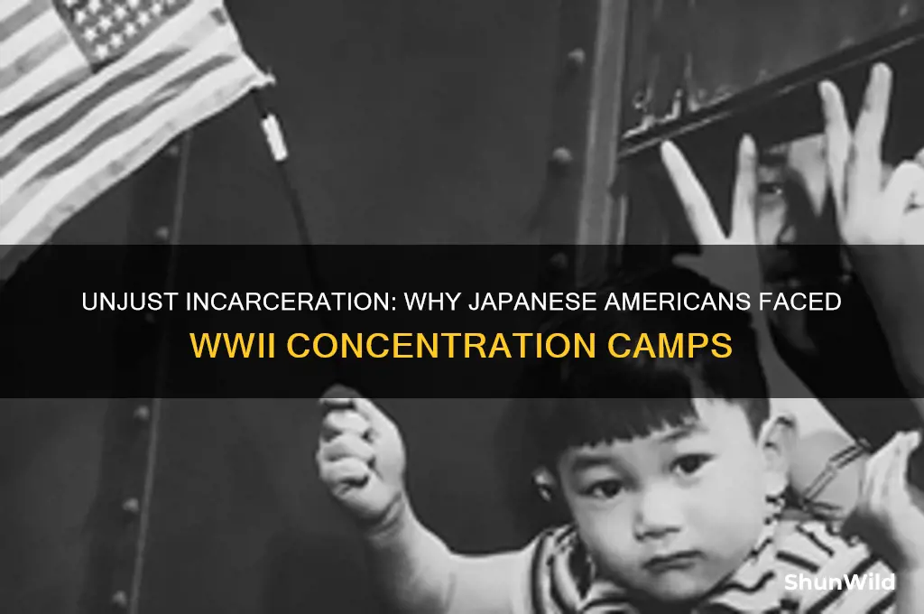 why only japanese in concentration camps wwii