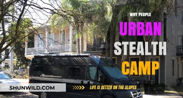 Urban Stealth Camping: Unveiling the Reasons Behind the Trend